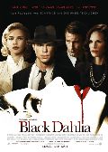 Black Dahlia