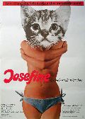 Josefine - das liebestolle Kätzchen