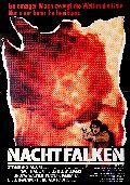 Nachtfalken