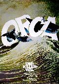 Orca - der Killerwal