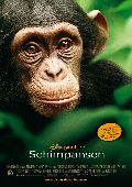 Schimpansen